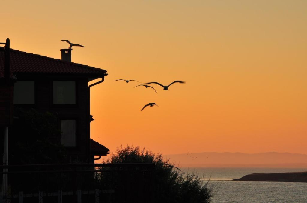 Deep Blue Guest House Sozopol Buitenkant foto